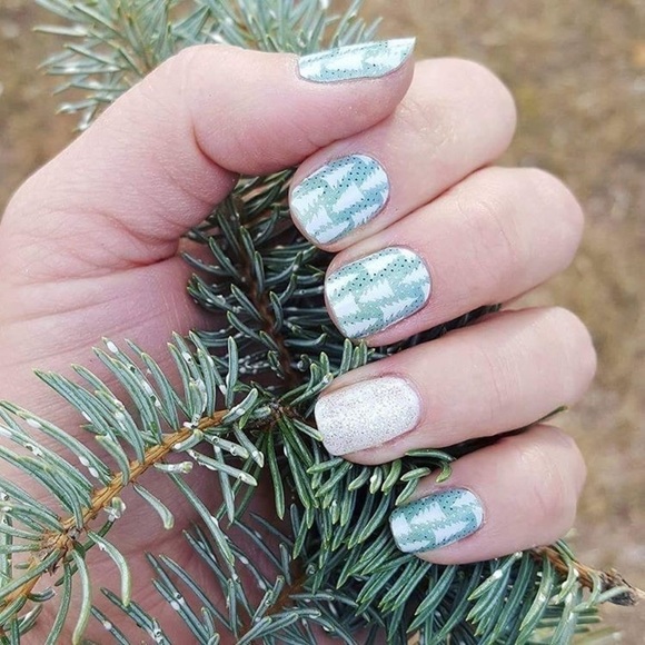 Jamberry Nail Wraps - Wintergreen - Picture 10 of 10